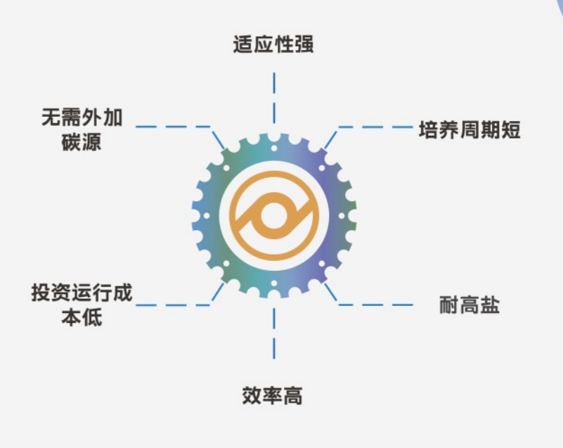 图片1(1).png