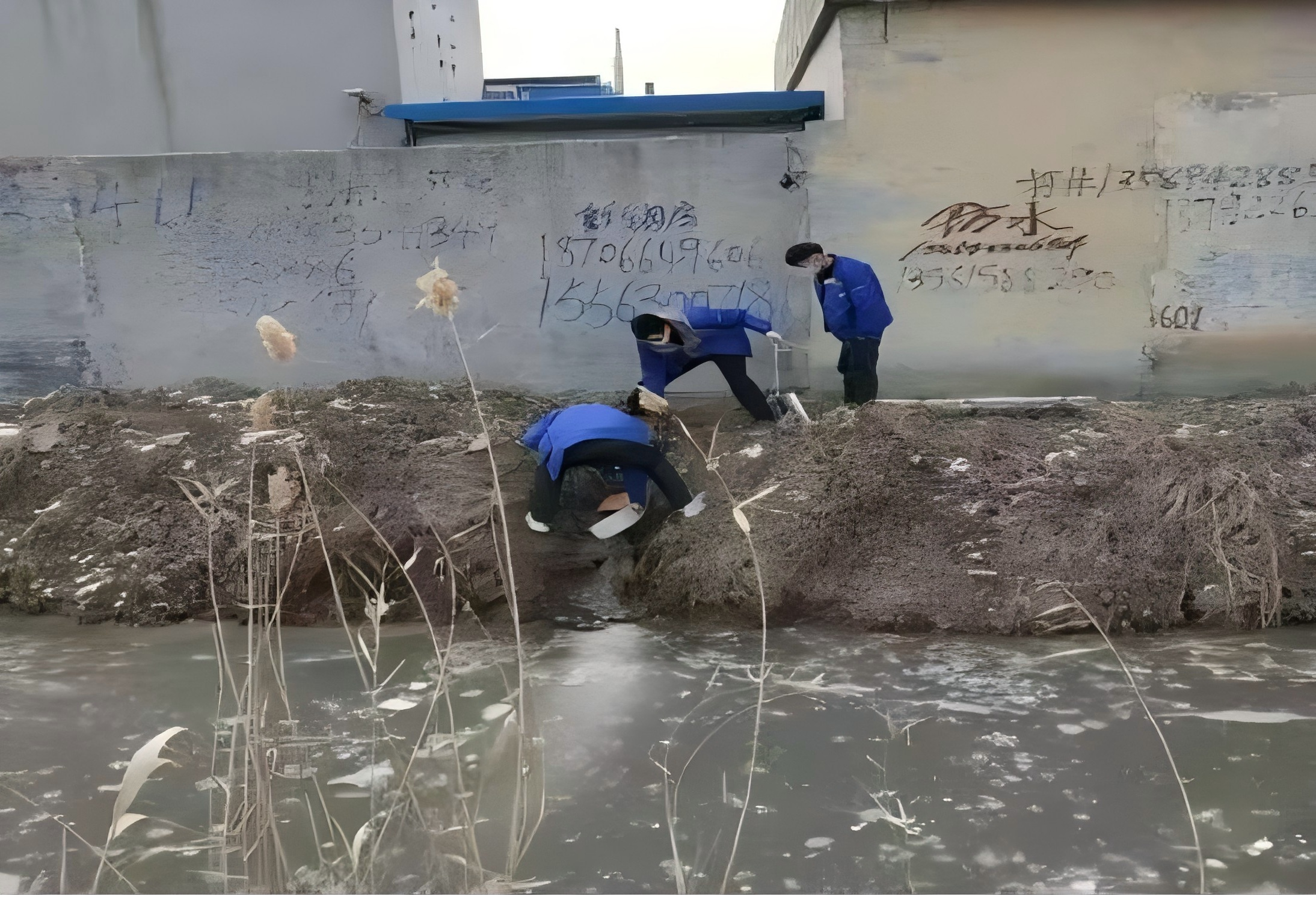 图片5.png 图片5.png