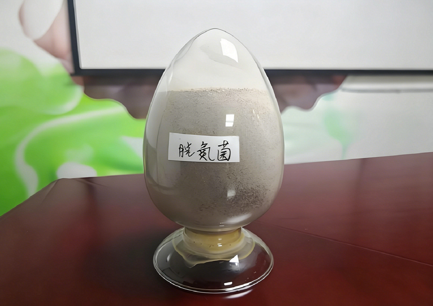 新对话2.png 新对话2.png